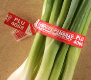 TIES PLASTIC TWIST RED 6" 2M/BOX