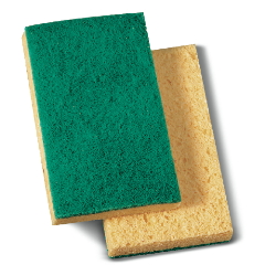 Sponges / Pads