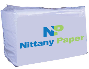 15"X17" DINNER NAPKIN, 2 PLY, 3M/CS