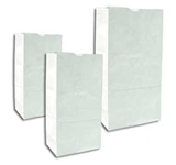 10# WHITE (KRAFT) BAG, 6-3/16X4-3/16X13-3/8,